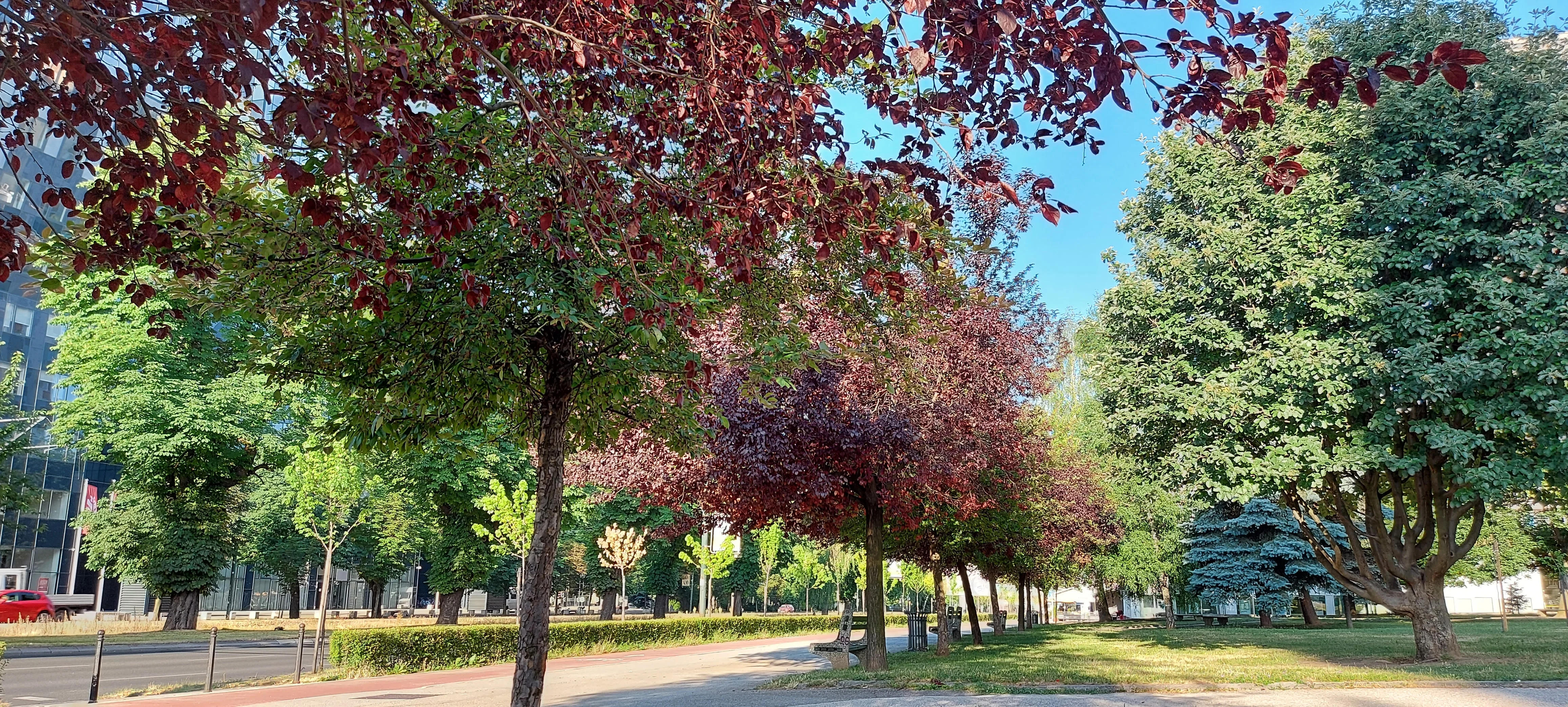 Ponedjeljak donosi više topline i temperature do 33, nisu isključeni ni lokalni pljuskovi