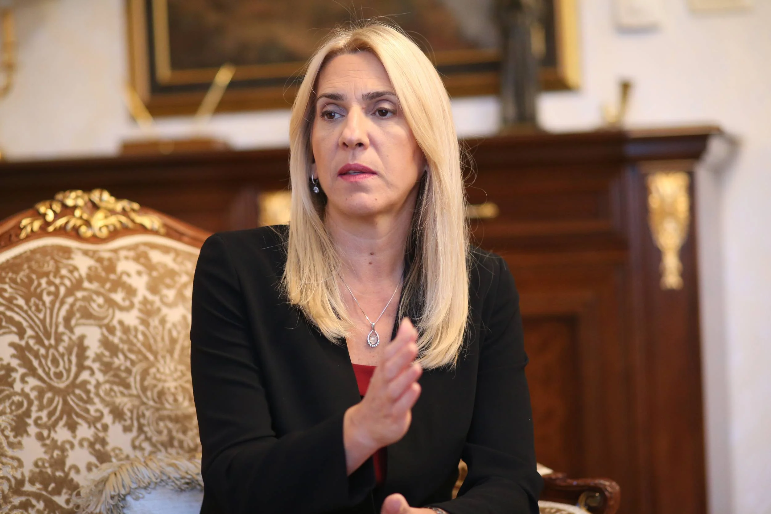 Cvijanović ne bi skenere na izborima jer bake neće dobro vidjeti u mraku sitne brojeve