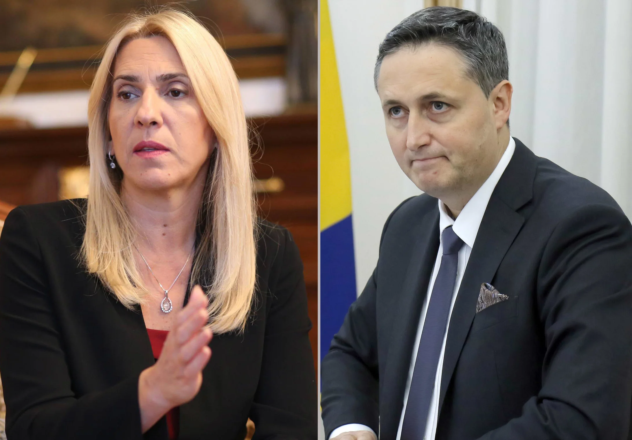 Cvijanović o apelaciji Bećirovića: "Može da se obraća kojoj god želi instituciji"