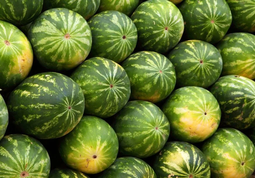 Svi gledaju boju i griješe, a ovako za 10 sekundi odaberite najsočniju i najslađu lubenicu