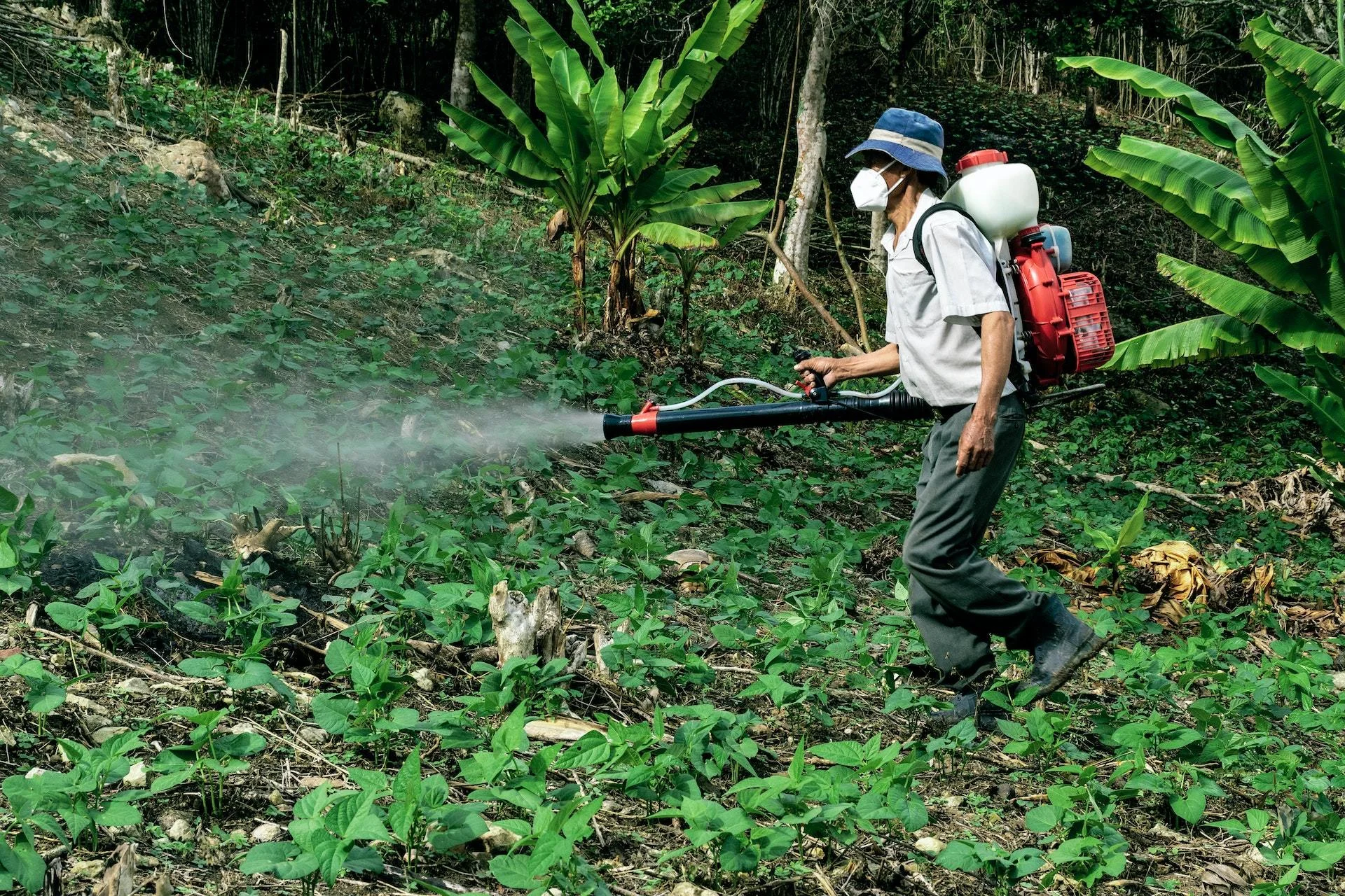Gotovo polovina poljoprivrednika u svijetu se godišnje otruje pesticidima