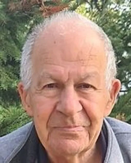 Dževad Karamehmedović