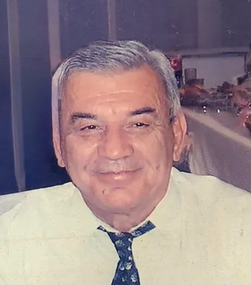 Nemanja Mikavica