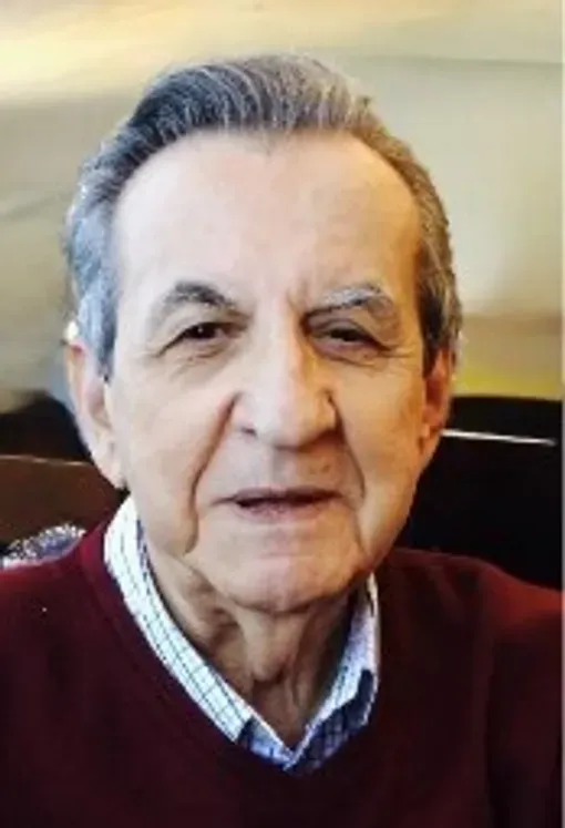 dipl. ing. Ismet Ovčina