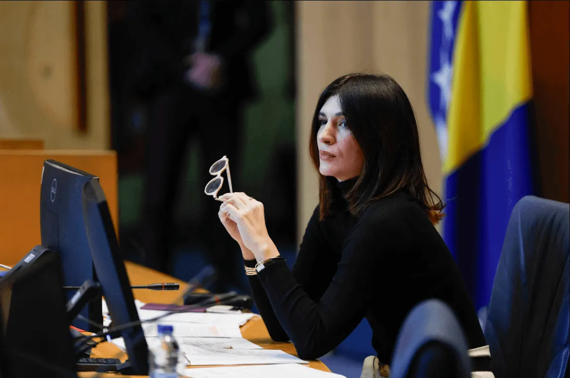 Ćudić doživjela neugodnost protekle noći zbog zločinca Mladića - "U ime generala Ratka"