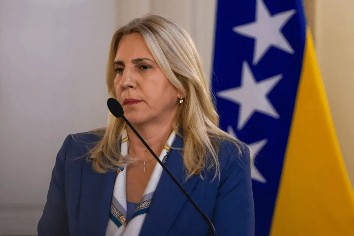 Cvijanović podržala SAD i zatražila ukidanje "tzv. bonskih ovlasti" u BiH