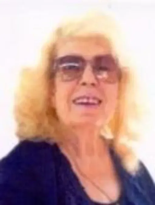 Adisa Azapagić Ćuk