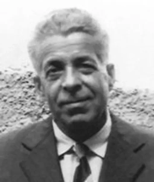Mehmedalija Mornjaković