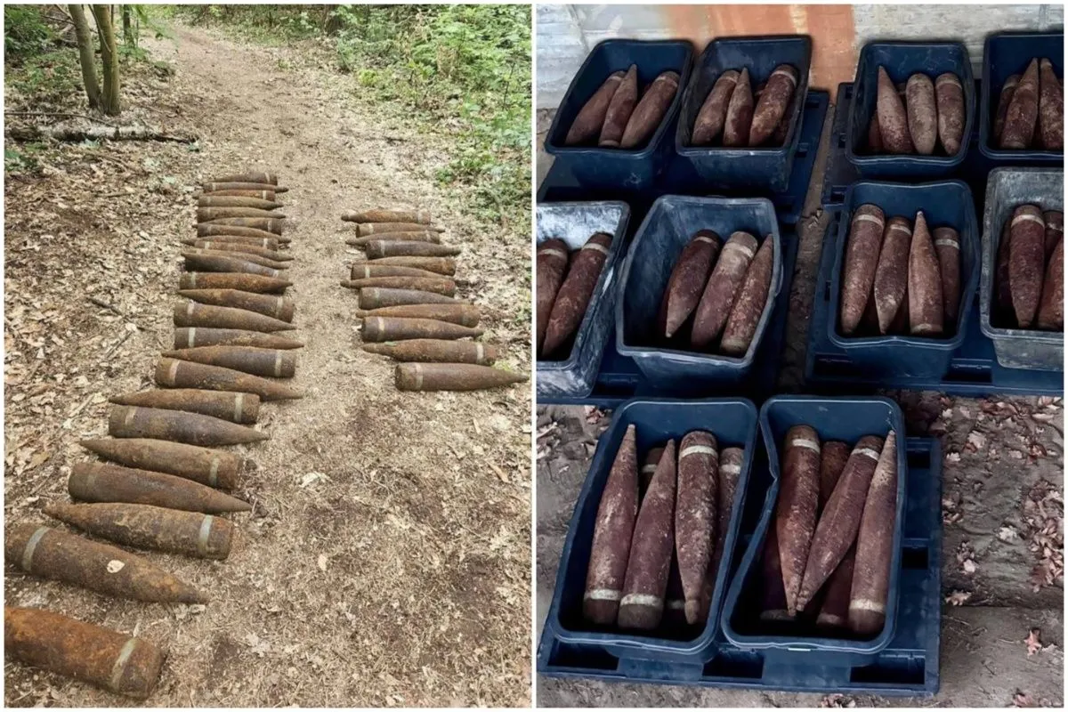 (FOTO) Šetao šumom u Berlinu pa otkrio tonu i po granata iz Drugog svjetskog rata