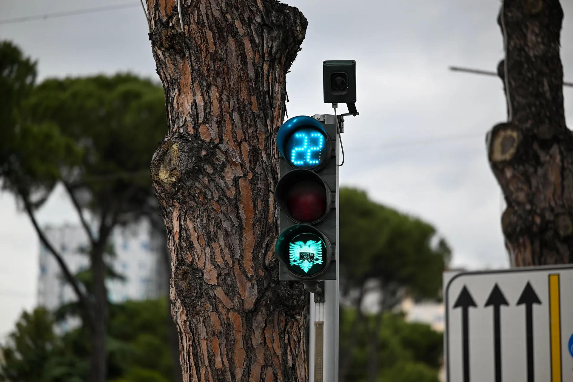 Ulice su prostrane, sređene i pune života