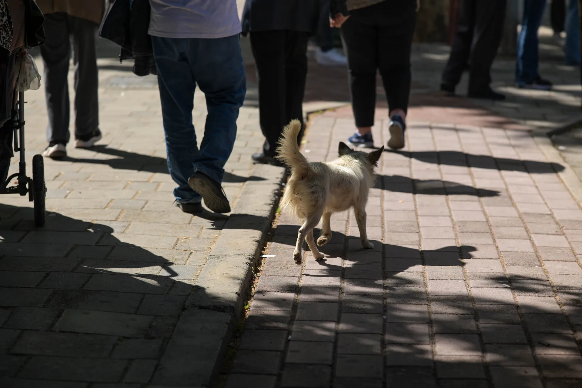 Stari dio grada i raskošna pješačka zona