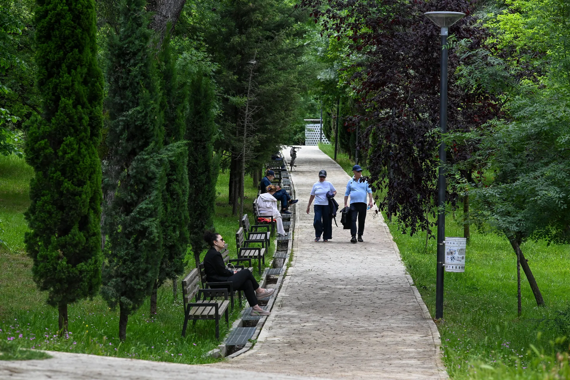 Grad je nevjerovatno bogat zelenilom