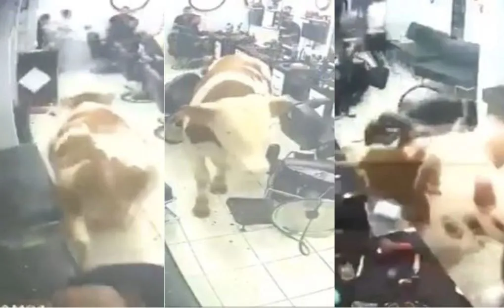 (VIDEO) Bik kroz staklo uletio u frizerski salon u Istanbulu, mušterije panično bježale