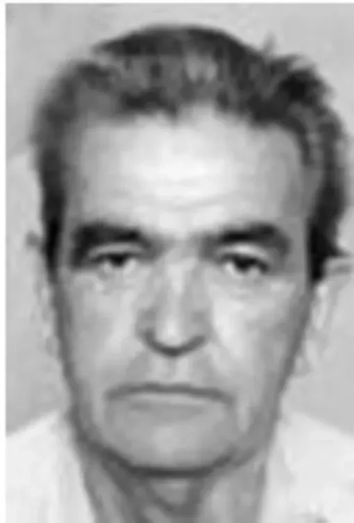 Mlađen Aničić