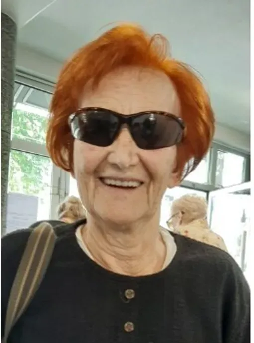 Bedrija Čajić