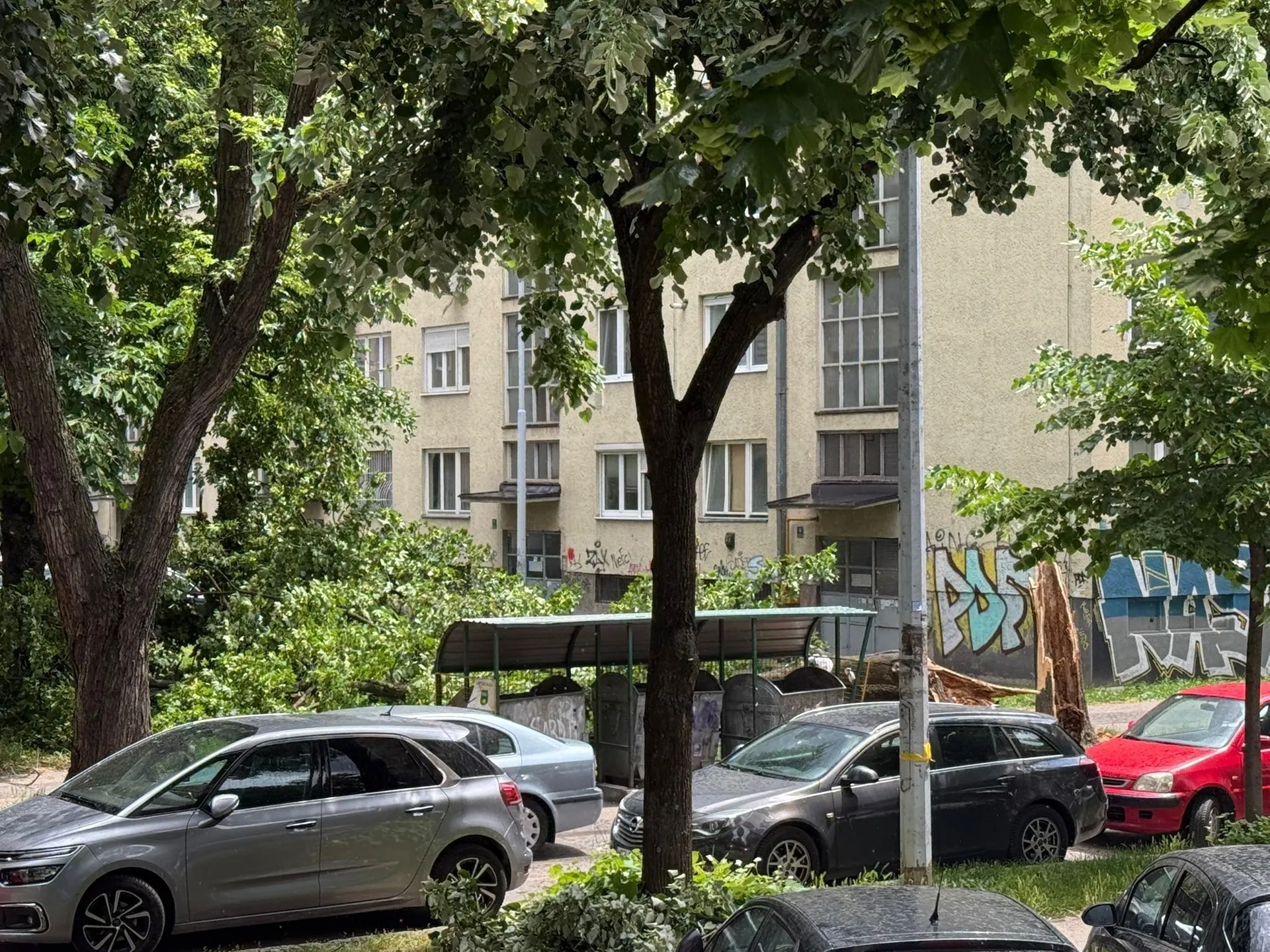 Vjetar oborio stablo na Grbavici