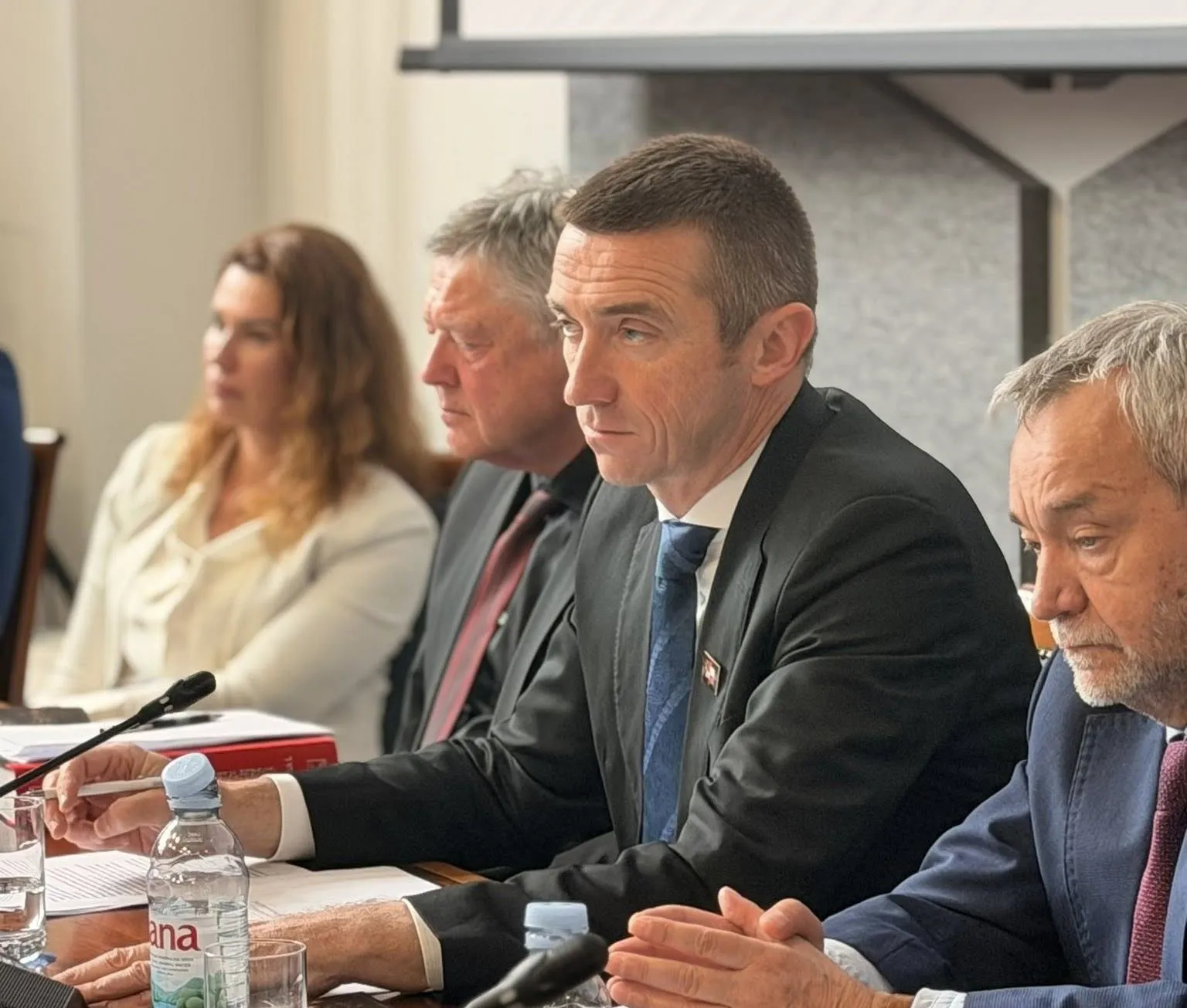 Domovinski pokret traži zasebnu izbornu jedinicu i reviziju državljanstva za Hrvate u BiH