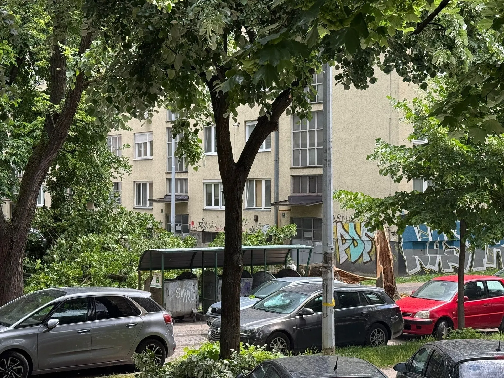 Vjetar oborio stablo u sarajevskom naselju Grbavica, prolaznik za dlaku izbjegao nesreću