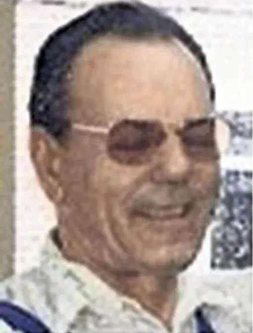 Hasan Hamidović