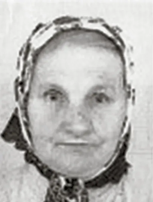 Mula Hamidović