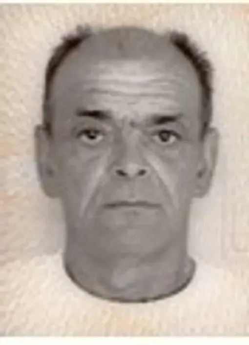 Slobodan Mišo Štark