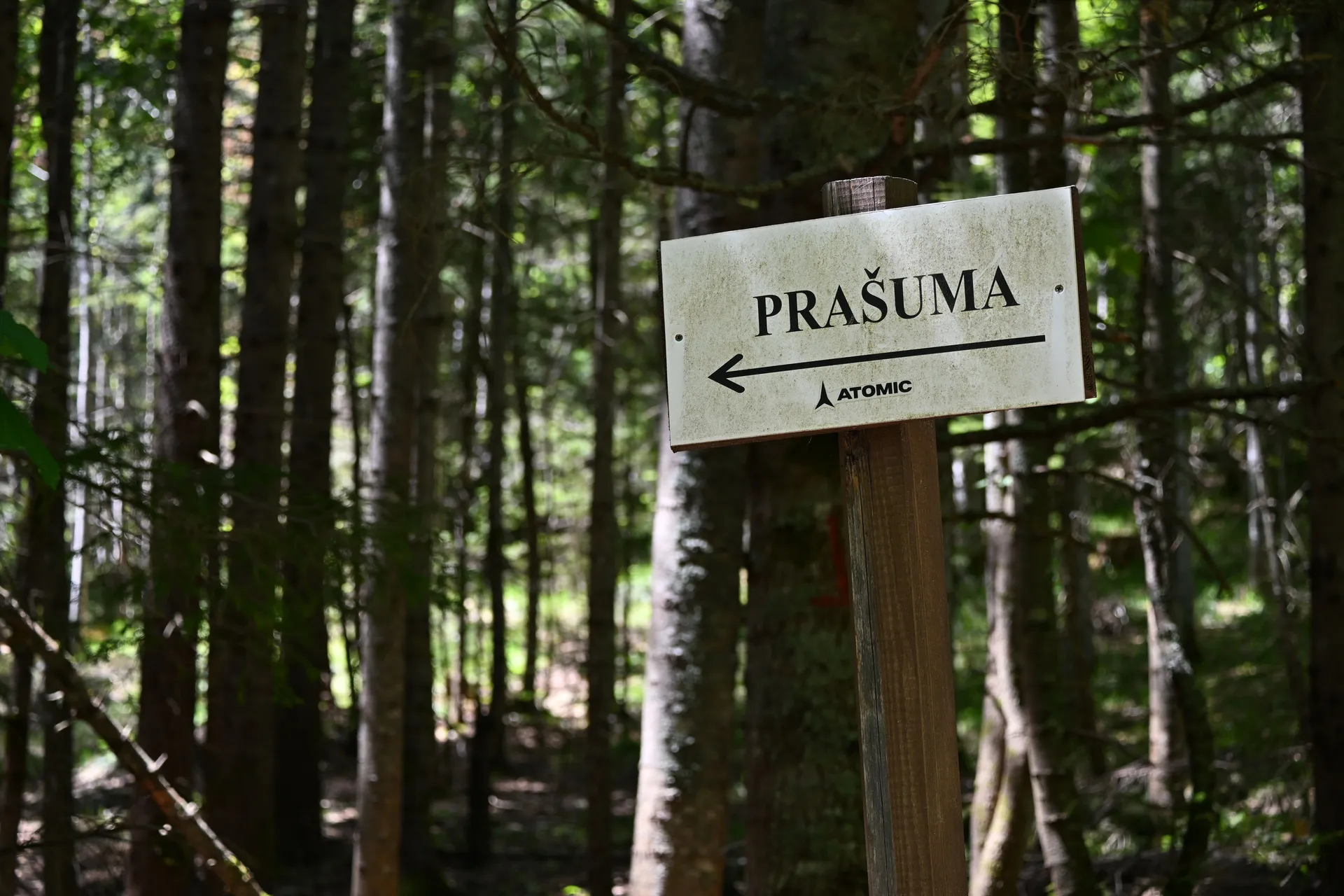 Posjetili smo prašumu Ravna vala