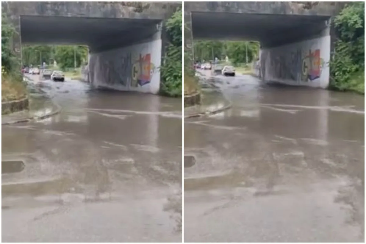 (VIDEO) Kao u Veneciji, automobili "plovili" ispod nadvožnjaka u bh. gradu