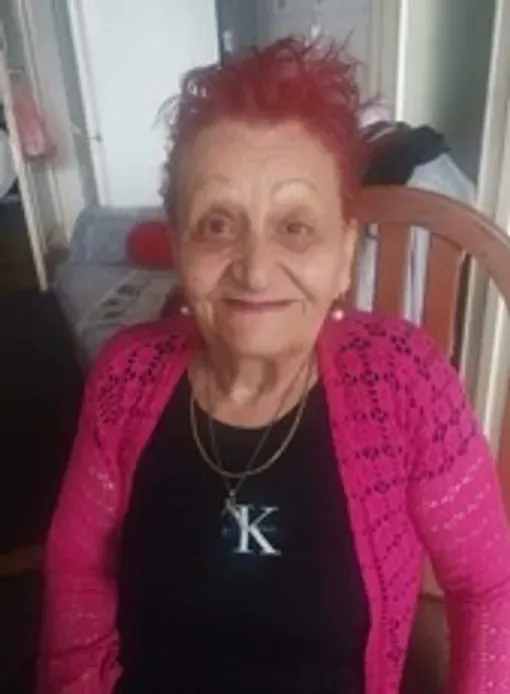 Bahrija Hemreković, rođ. Hadžisalihović