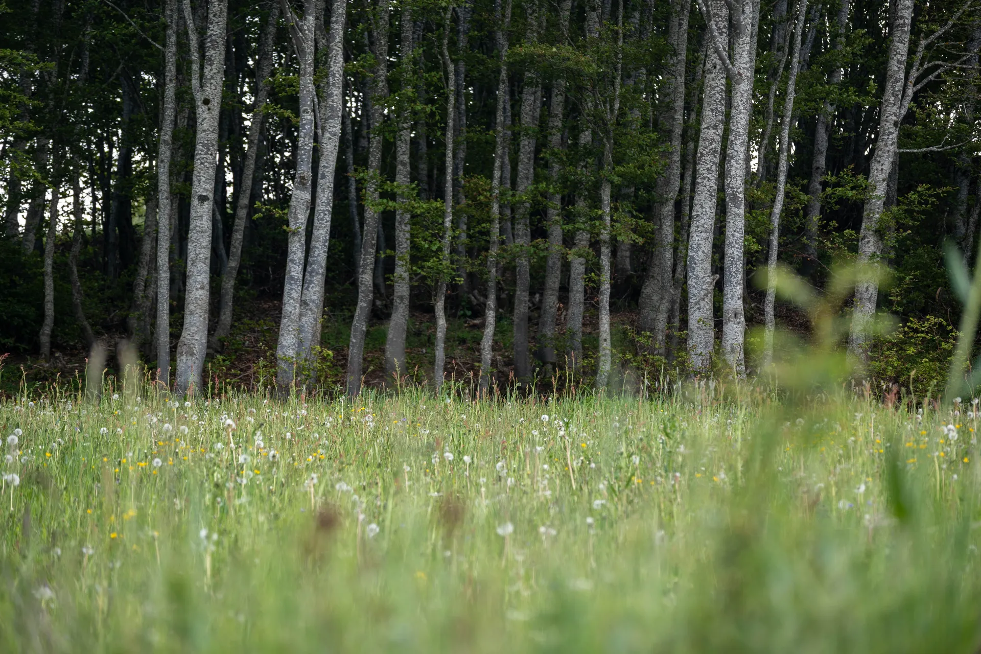 Prizori na putu bili su vrijedni uspona