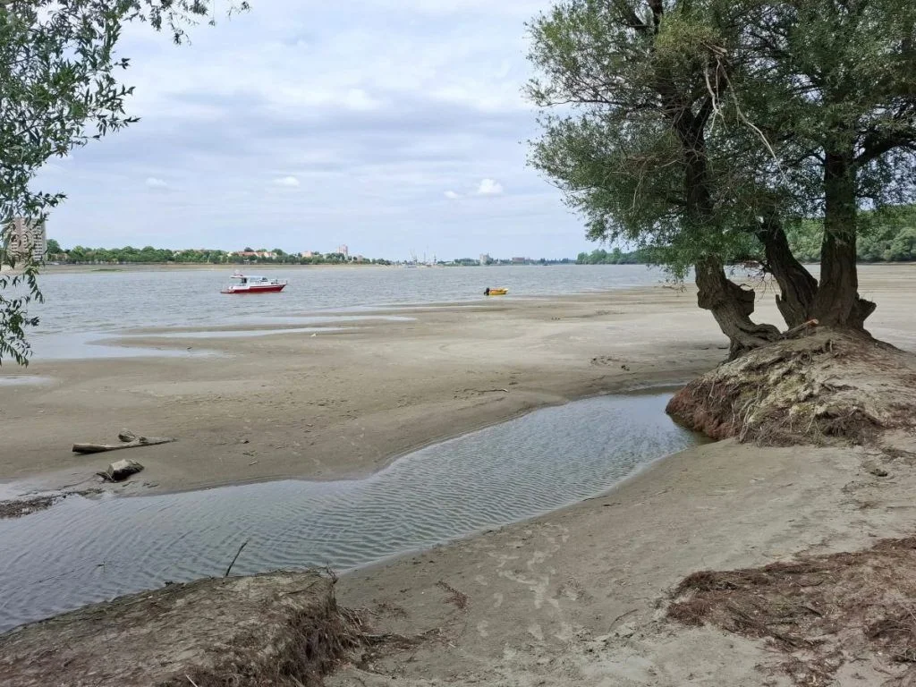 Dva bratska udava