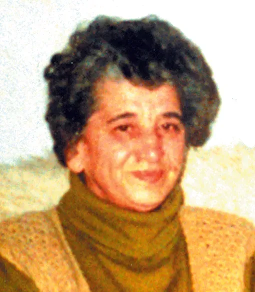 Borka Lemez