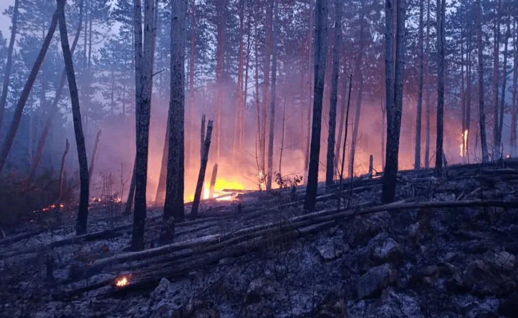 Nakon višesatne borbe sa vatrenom stihijom lokalizovan požar kod Ljubuškog