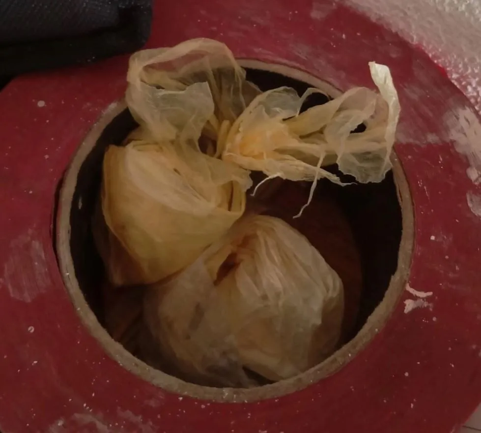 Oduzeta droga