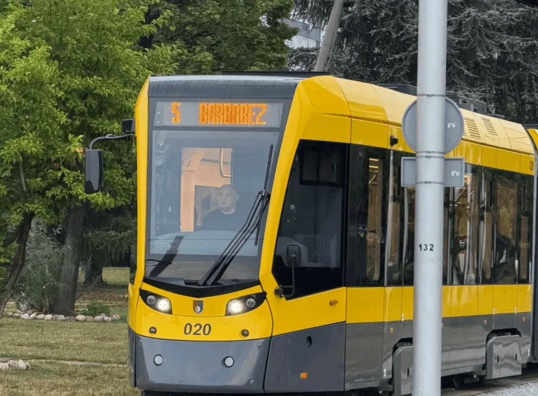 Zmajevi, podrška, tramvaji, reprezentacija