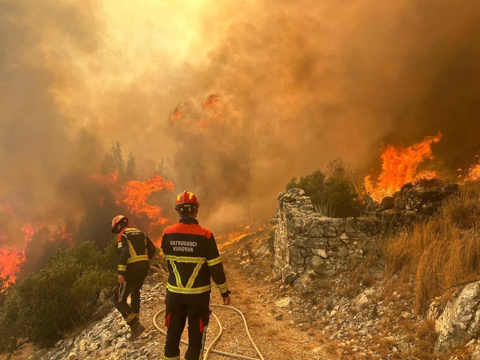 Požar na Hvaru progutao 200 hektara, vatrogasci cijelu noć branili kuće