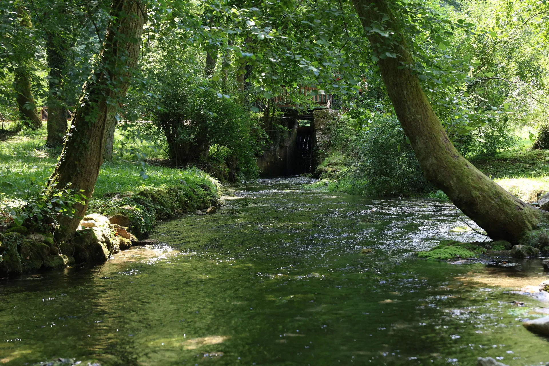 Uživanje na Vrelu Bosne