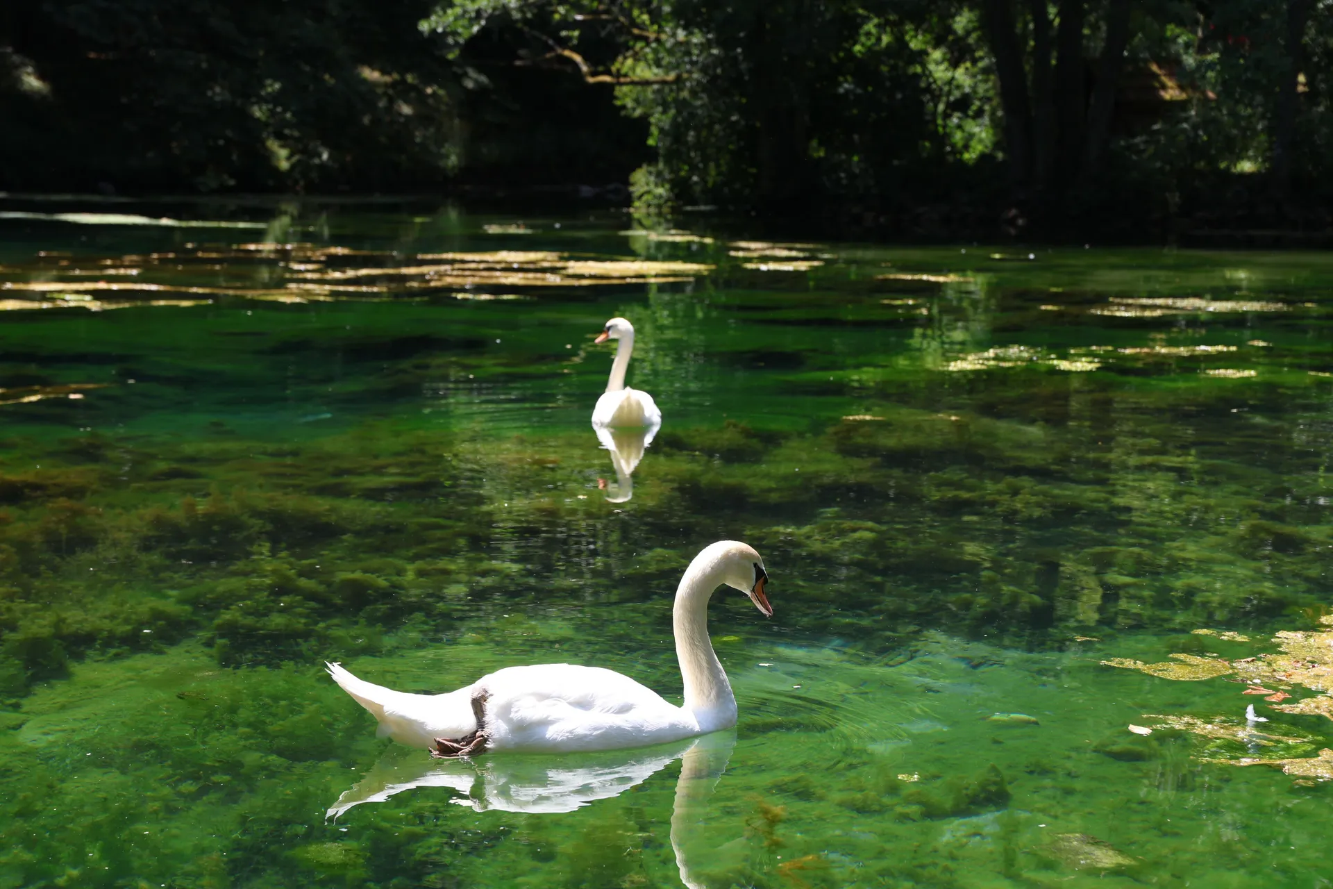 Uživanje na Vrelu Bosne