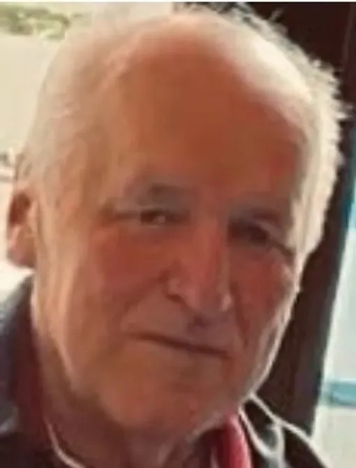 Danilo Dačo Krsmanović