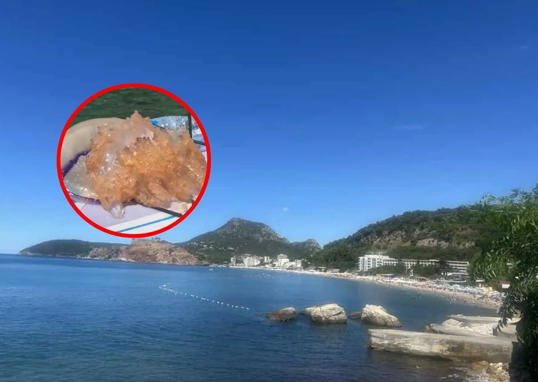 (FOTO) More kod jednog od omiljenih ljetovališta bh. građana izbacilo jezivo stvorenje