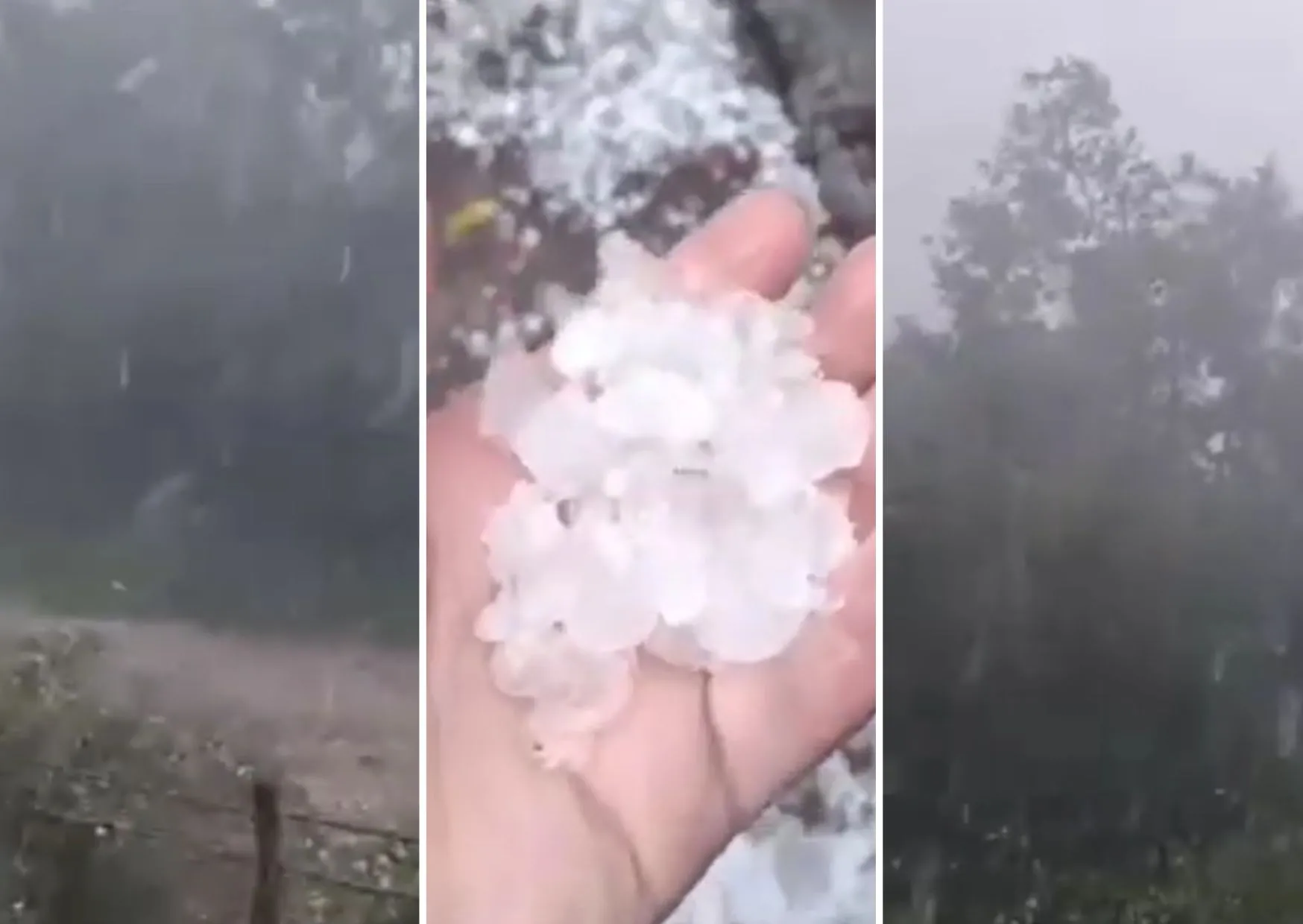 (VIDEO) Snažno nevrijeme "poharalo" dijelove BiH, velike količine leda uništile usjeve