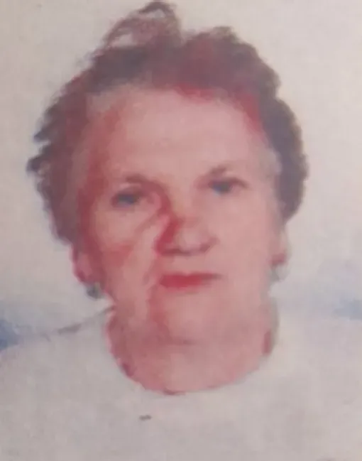 Emina (Malohodžić) Suljagić