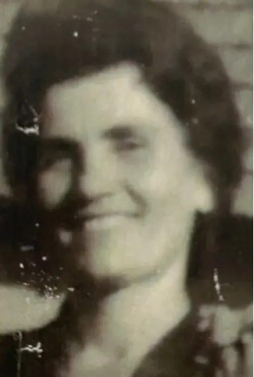 Feridu Šenderović