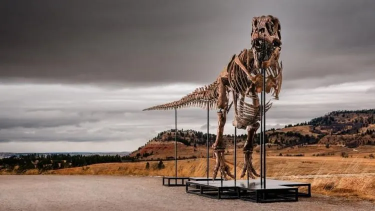 Da li bi ovaj tiranosaurus reks mogao da postane najskuplji dinosaurus na svetu