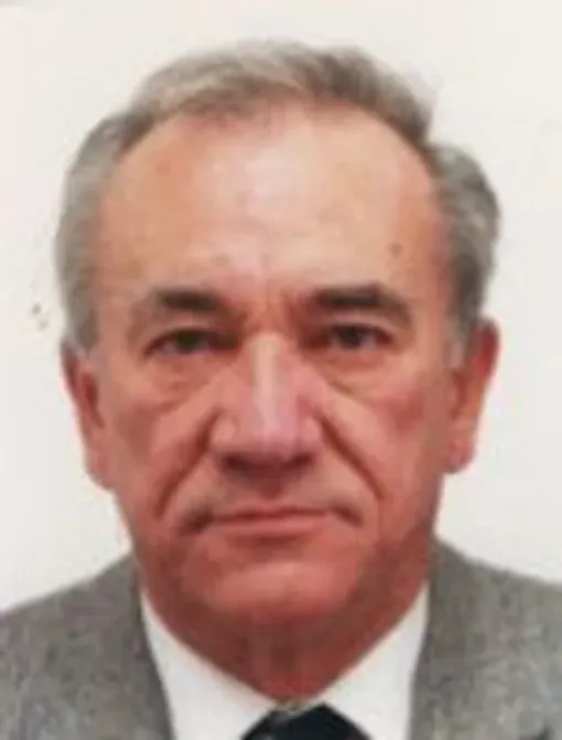Namik Silajdžić