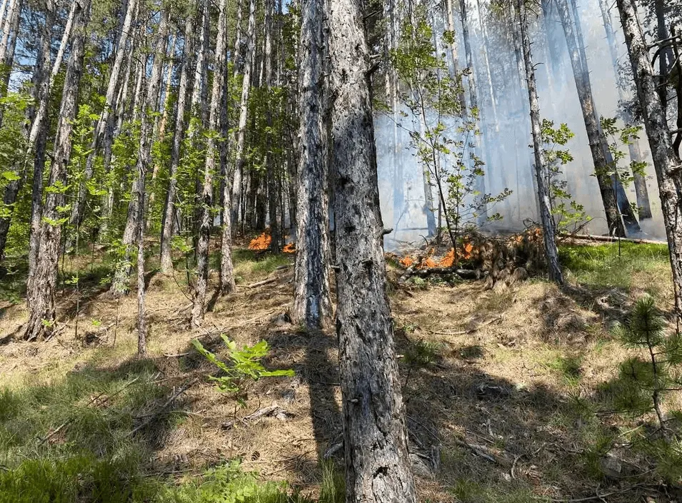 Helikopter ZDK spriječio širenje požara kod Maglaja, građanima upućen poziv