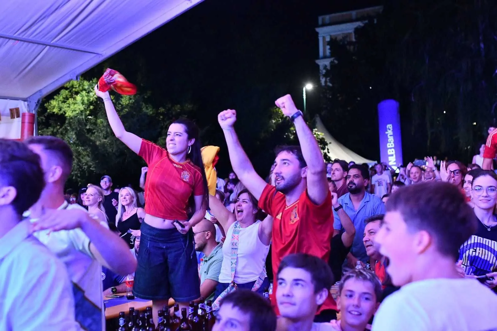 Slavlje navijača Španije nakon gola Torresa