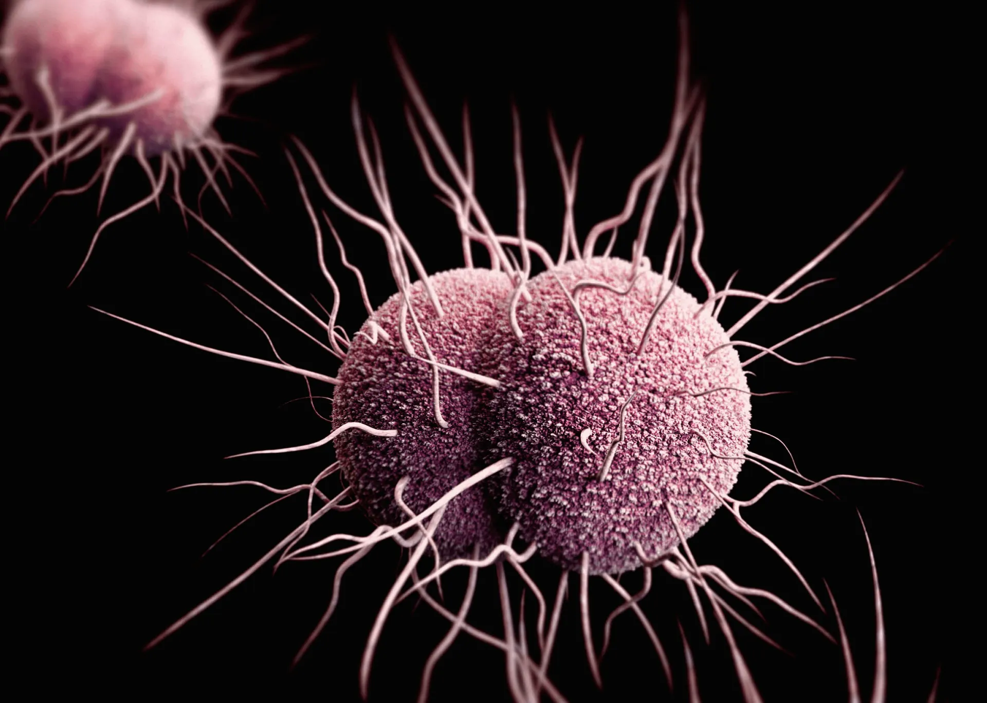 Evropom se širi zaraza otporna na antibiotike, može izazvati ozbiljne komplikacije