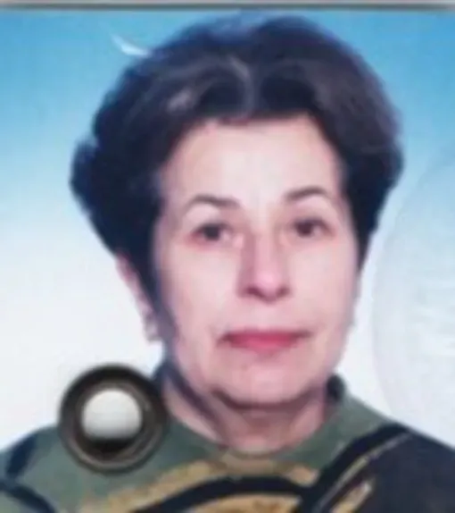 Muneveri Dobrača