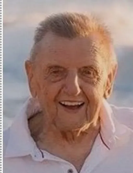dipl. ing. arh. Predrag Bulović