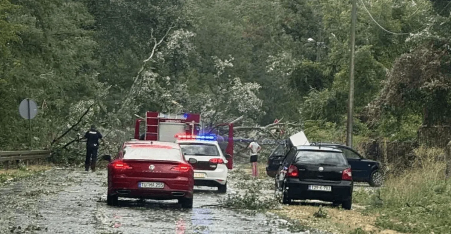 Haos nakon oluje u BiH: Oborena stabla blokirala M-17, saobraćaj otežan na više lokacija
